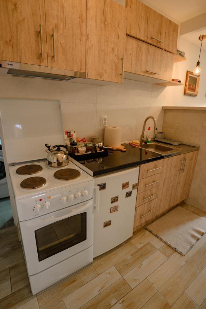 Apartman Sen'S Leskovac  Extérieur photo